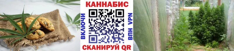магазин продажи наркотиков  Козловка  Canna-Cookies марихуана 