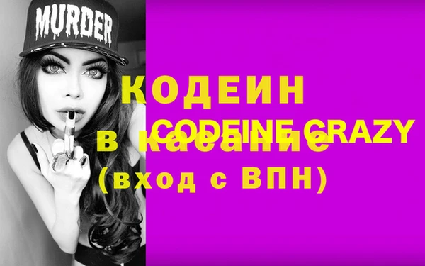 крисы Алексин