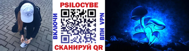 Галлюциногенные грибы Psilocybine cubensis  кракен ССЫЛКА  Козловка 